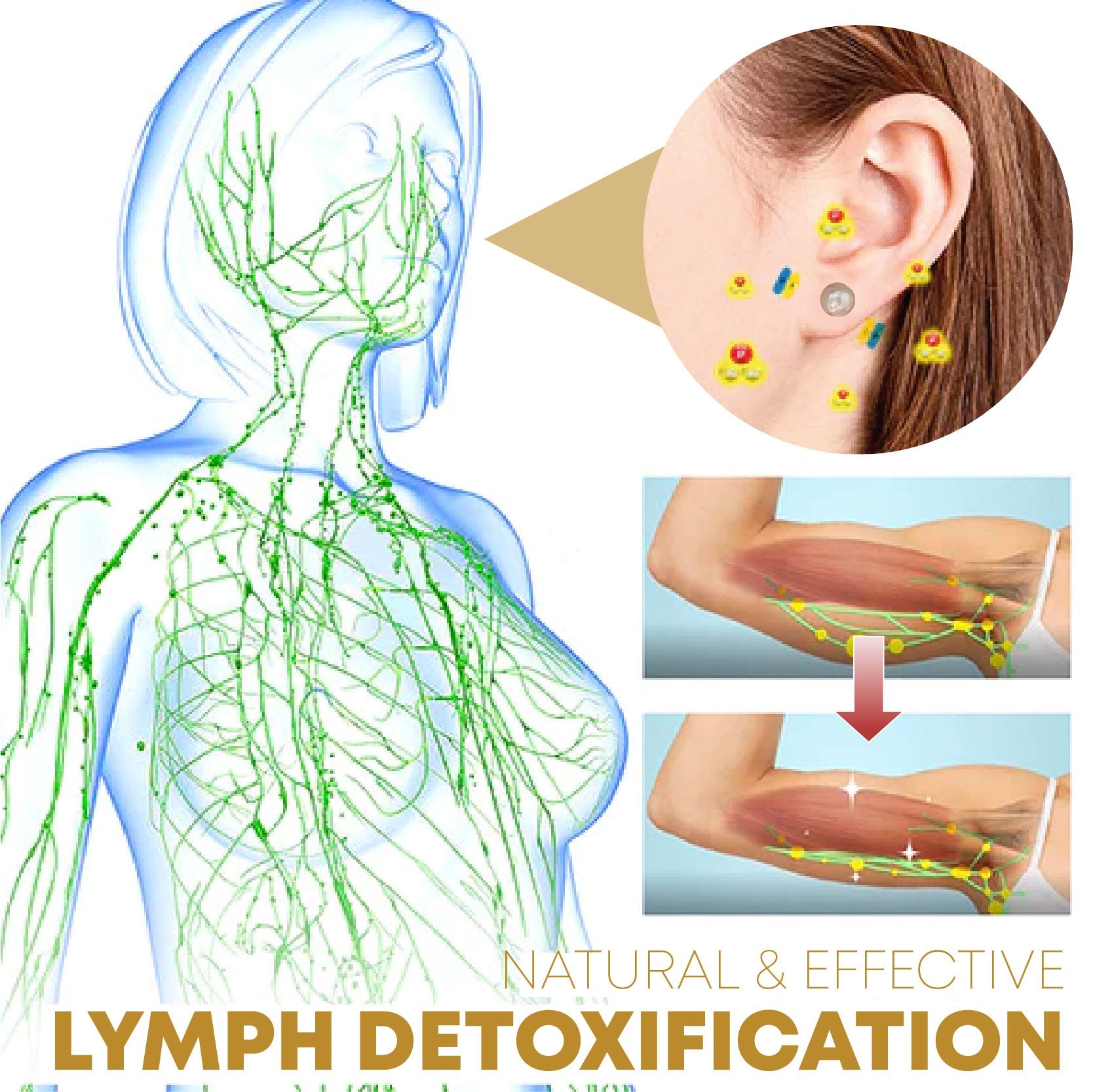 LymphRing™ - Lymphknoten-Ohrringe zur Gewichtsabnahme